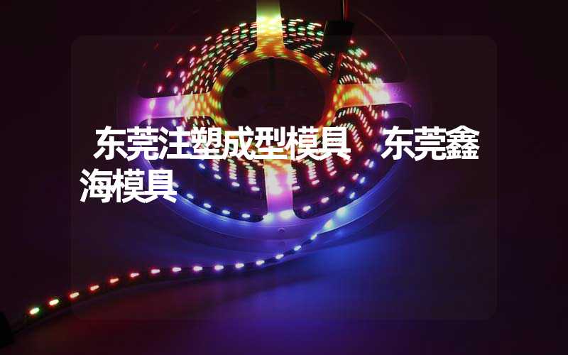 东莞注塑成型模具 东莞鑫海模具